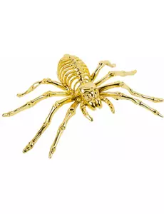 Золотий скелетний павук 12.5 x 20.5 cm